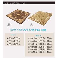 撥水キャンベル　ラグ　ブラウン　２００×３００ｃｍ
