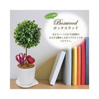 人工観葉植物ボックスウッドＳサイズ