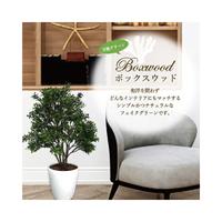 人工観葉植物ボックスウッドＭサイズ
