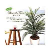 人工観葉植物タマシダＭサイズ