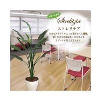 人工観葉植物ストレリチアＬサイズ