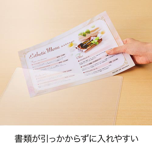 出し入れ簡単カードケース　ハードタイプＡ４×１０