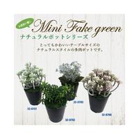 人工観葉植物ブルースキニアミニサイズ