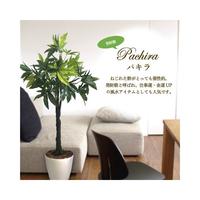 人工観葉植物パキラＬサイズ