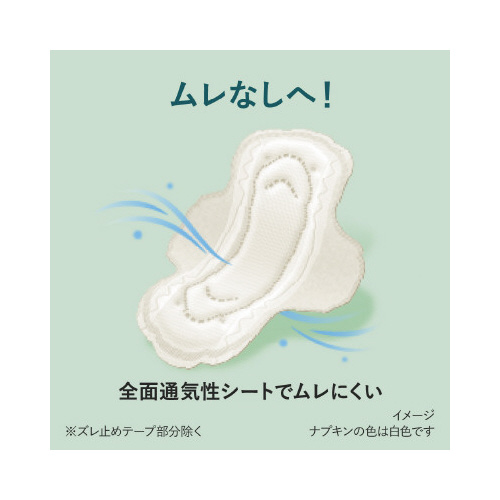 ロリエ　スリムガード　特に多い昼用　１９コ入