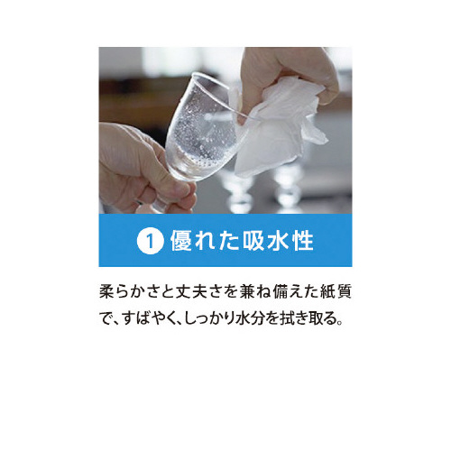 リビィペーパータオル中判２１０枚×４０個　１－４梱