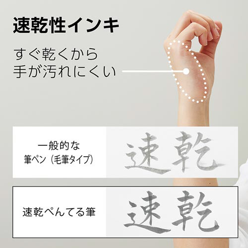 速乾ぺんてる筆　カートリッジ　うす墨　１０セット