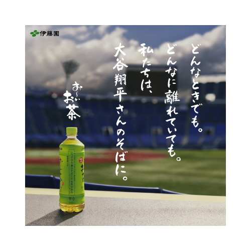 温冷兼用おーいお茶緑茶１９５ｍｌ３０本×３※