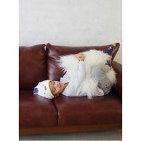 吸水アニマルキッズキャップ　コアラ