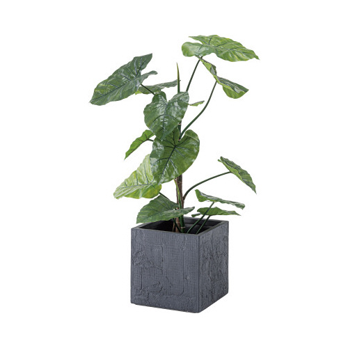 グリーンベース　ＧＲＮＢ－２０９