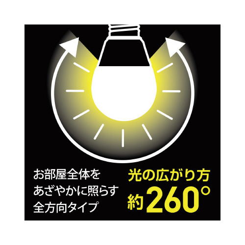 ＬＥＤ電球プレミア　Ｅ２６　１００形　昼光色