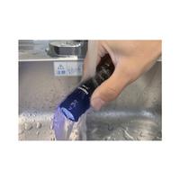 アニサキスライト