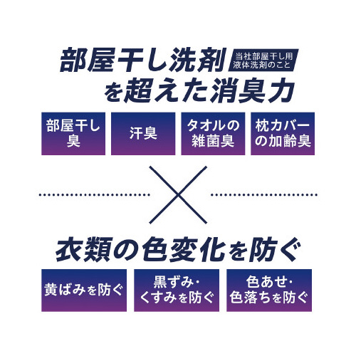 ＮＡＮＯＸｏｎｅ　ニオイ専用　本体大型６００ｇ×６