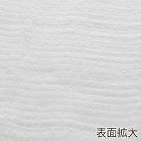 ハイクリーン丸型　２７０×２９０　ＪＡＮ付　６袋
