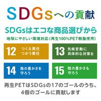 オリオンズ１５ｃｍ三角定規