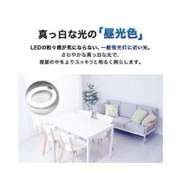 ＬＥＤサークル　４０形単品　昼光色