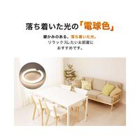 ＬＥＤサークル　３０形単品　電球色