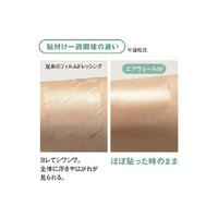 エアウォールＩＶ（レギュラ）Ｎｏ．６０９０Ｒ×１０