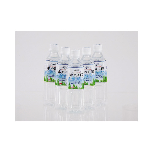 水の王国５００ｍｌｘ４８本入※