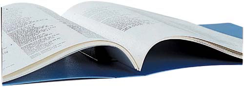 バーロックファイル　Ａ４縦　背幅３１ｍｍ　藍１０冊