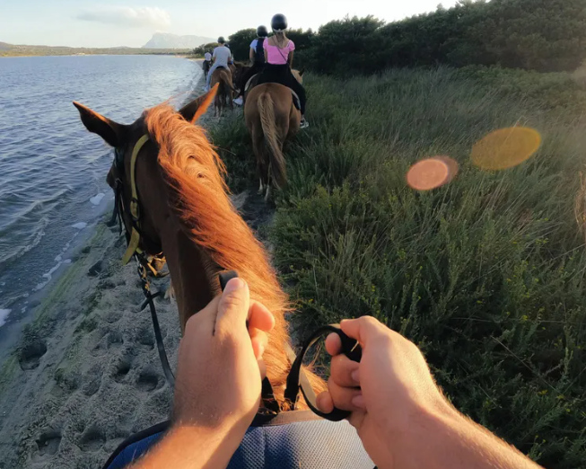 ヘッドストラップ2.0