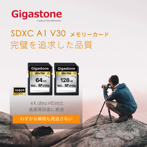 SDXCカード 64GB Class10 UHS-I U1 A1 V30スペック 最大読み取り速度100MB/s 4K & Full HDカメラ パソコン 写真 動画データ保存