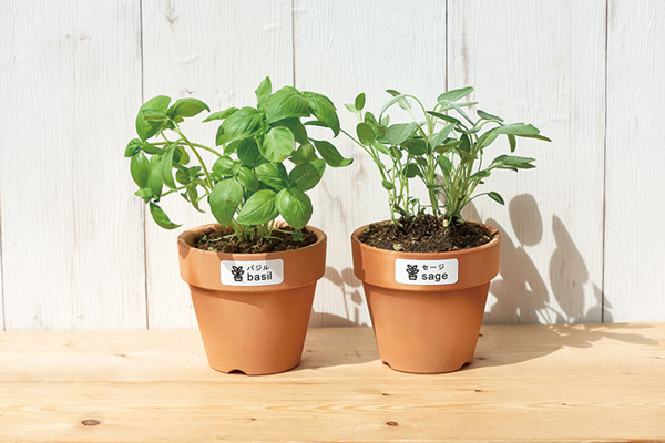 テプラPROテープカートリッジ 屋外に強いラベル 白/黒文字 24mm