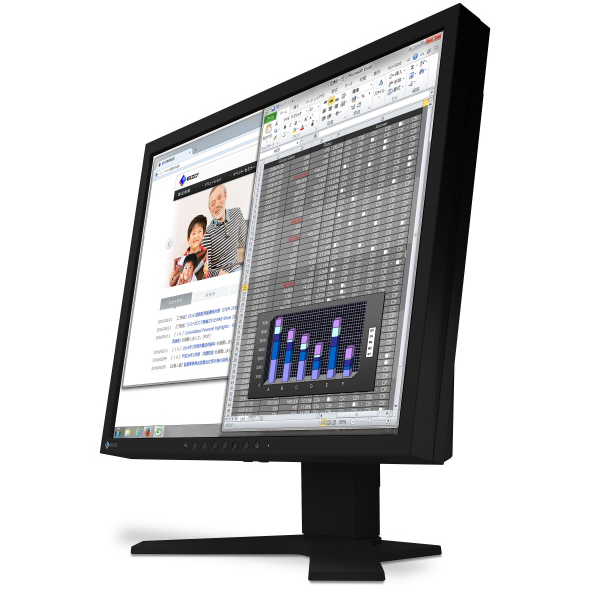 液晶ディスプレイ 19型/1280×1024/DVI、D-Sub、DisplayPort/ブラック/スピーカー：あり