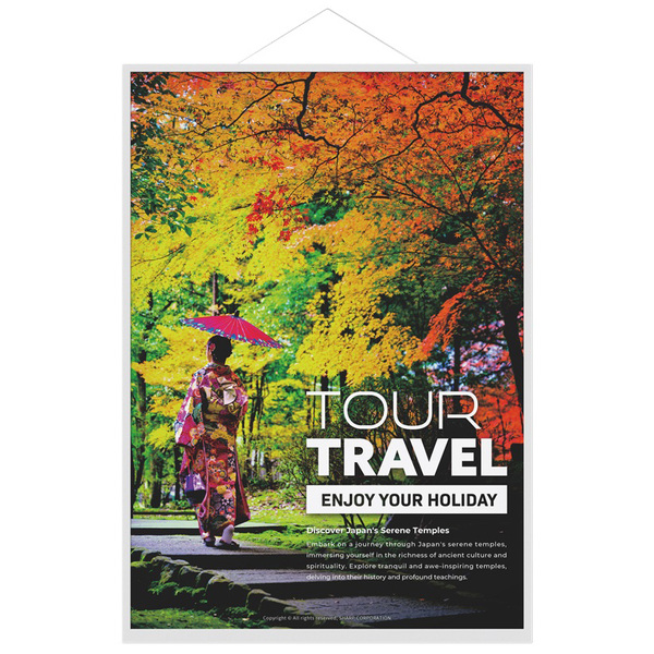 A2サイズ電子ペーパーディスプレイ「ePoster」カラーモデル/解像度2160×3060/USB Type-C入力端子/白/スピーカー無/縦・横設置/センドバック1年保証