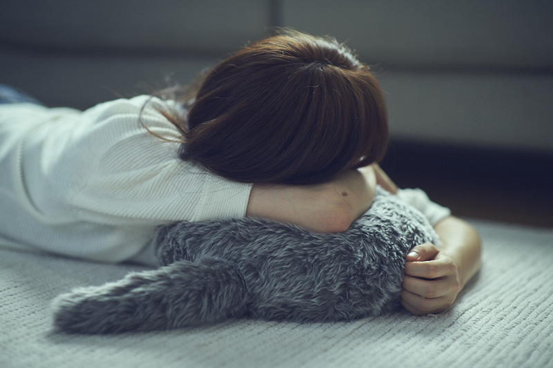 Qoobo ハスキーグレー