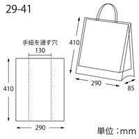 バイオレイニーポリ２９－４１（ＭＳ－１用）１０