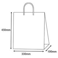 プレーンＣＢ　２才　スノーホワイト　１０セット