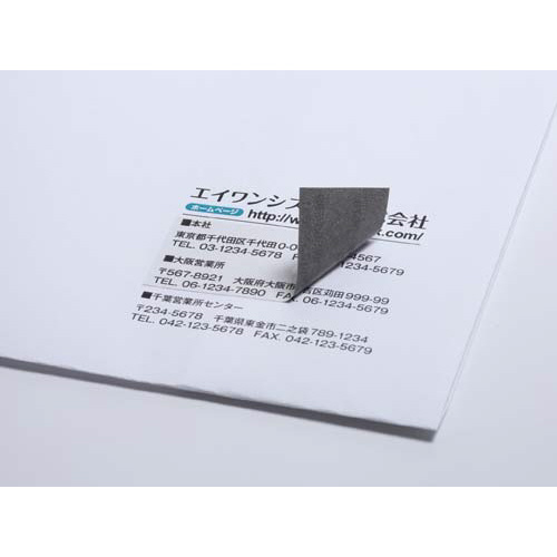 下地がかくせる修正ラベル　兼用　２４面　１２枚