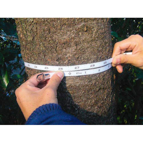 ダイヤメータールール　２ｍ