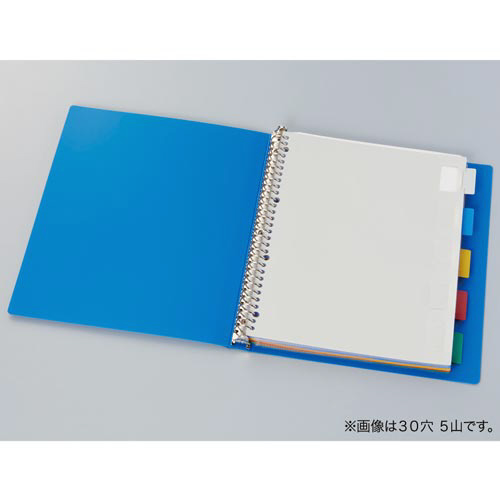 見出し位置自在　ＰＰ製仕切カード３０穴６山