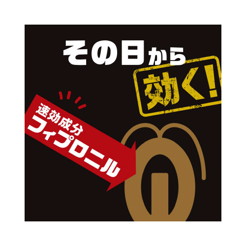 ブラックキャップ１年間効く！スキマ用　１６個入×４