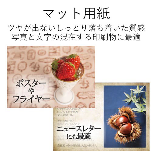 ハガキ用紙　マット紙　両面無地　特厚　５０枚