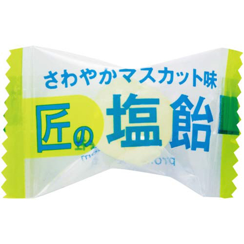 Ｇａｉｎｓ匠の塩飴　アソート　７５０ｇ入×１０※