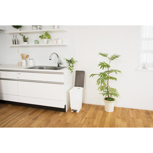 ネオカラー分別　スリムペダル　４５　ブラウン×８