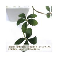 人工観葉植物シュガーバインＷＨＴＳサイズ