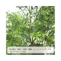 人工観葉植物ティーリーフＭサイズ