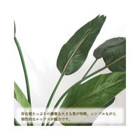 人工観葉植物ストレリチアＬサイズ