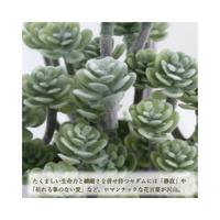 人工観葉植物グリーンセダムミニサイズ
