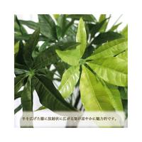 人工観葉植物パキラＬサイズ