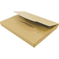 ポストインカートン　Ａ４　５０枚入