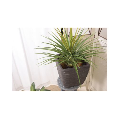 グリーンベース　ＧＲＮＢ－２００