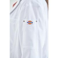 レディスシングルコート七分袖２５３３ＰＲＨＬ