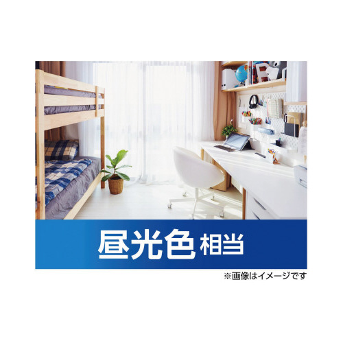 ＬＥＤ電球プレミア　Ｅ２６　１００形　昼光色