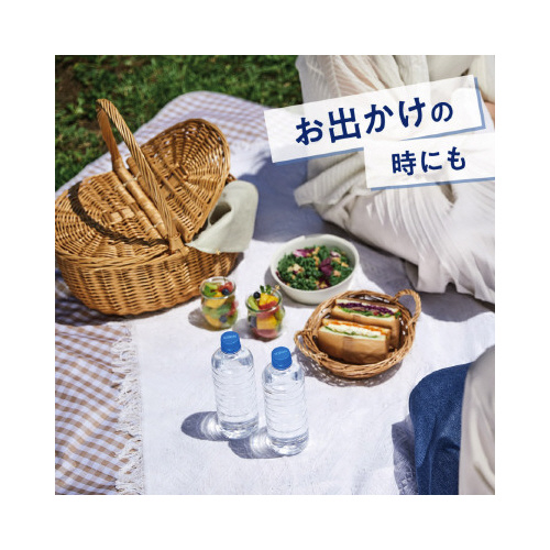 自然が磨いた天然水６００ｍｌラベルレス２４本※