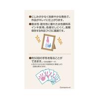 ＰＡＬＭ　ＣＯＬＯＲＳ（袋）しろ２